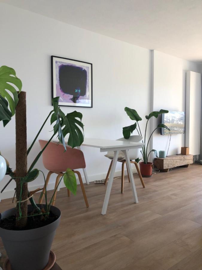 Appartement Biarritz Sud Zewnętrze zdjęcie